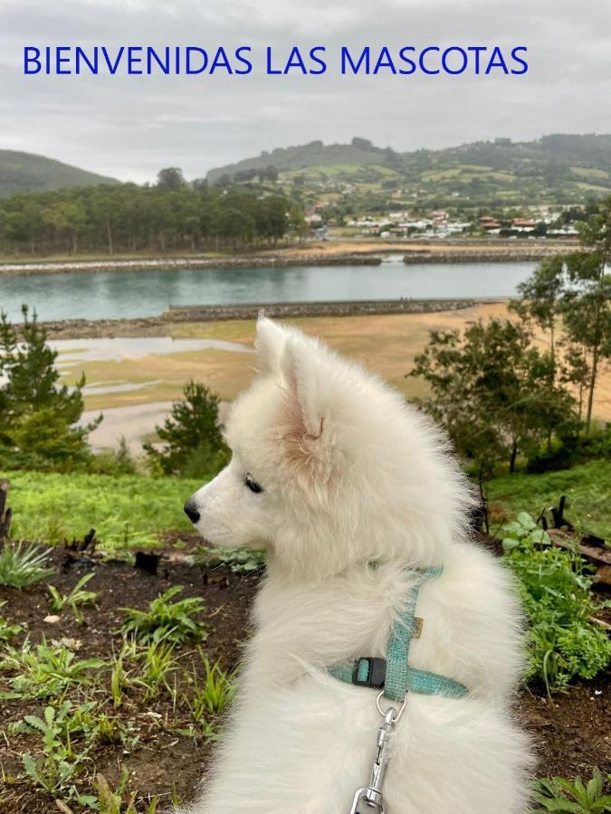 Playa Del Puntal Villaviciosa Asturias Lujo Primera Linea Playa Exteriör bild